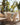 muebles para jardin