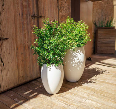 Ronde ALOE 45 plantenbak