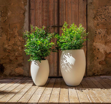 Ronde ALOE 55 plantenbak