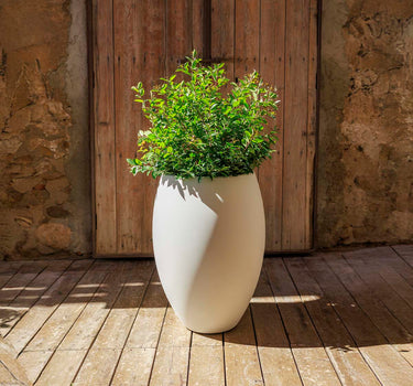 Ronde ALOE 55 plantenbak