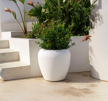 ARECA 60 ronde plantenbak