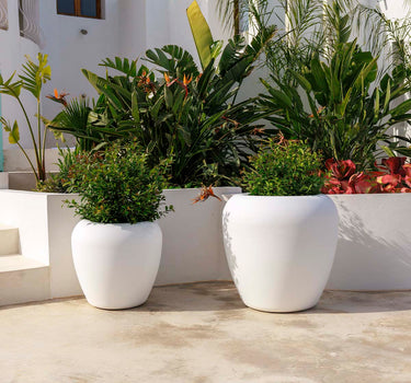 ARECA 60 ronde plantenbak
