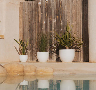 Ronde plantenbak AZALEA 30