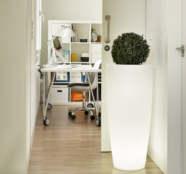 BAMBU90 licht plantenbak