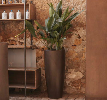 BAMBU gekleurde bloempot 70