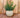 Ronde plantenbak BEGONIA