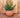 Ronde plantenbak BEGONIA