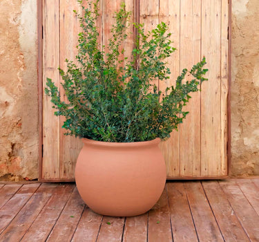 Ronde plantenbak BEGONIA