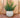 Ronde plantenbak BEGONIA