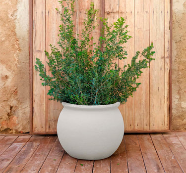 Ronde plantenbak BEGONIA
