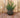 Ronde plantenbak BEGONIA