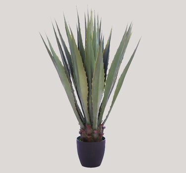 CACTUS AGAVE CON MACETA 103CM