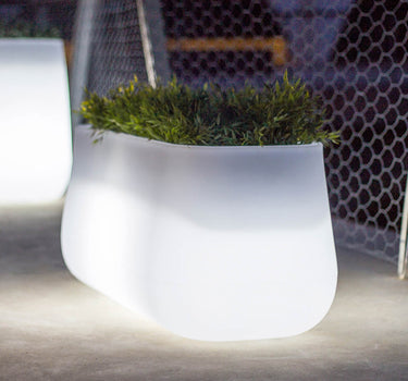 Lange plantenbak met licht CAMELLIA LARGE