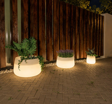 Afgeronde bloempot met licht CAMELIA