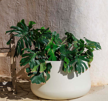 Ronde bloempot Camelia 80