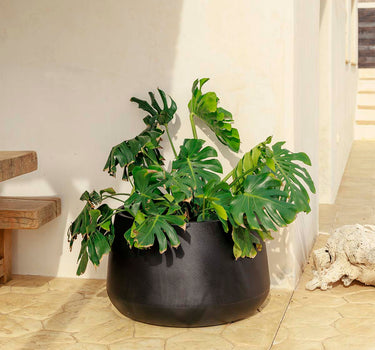 Camelia 60 ronde bloempot