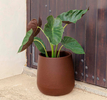 Ronde bloempot Camelia 40