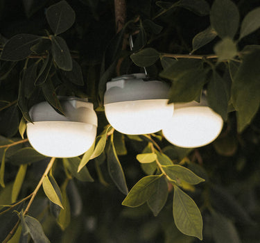 CHERRY MINI oplaadbare draagbare gloeilamp (verpakking van 3 lampen)