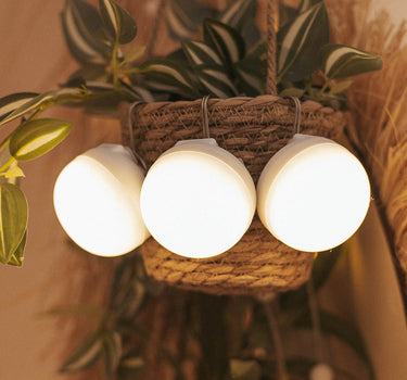 CHERRY MINI oplaadbare draagbare gloeilamp (verpakking van 3 lampen)