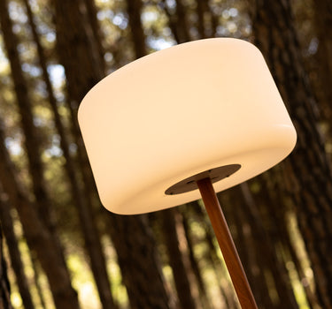 CHLOE PLANT DIMBARE SOLAR VLOERLAMP