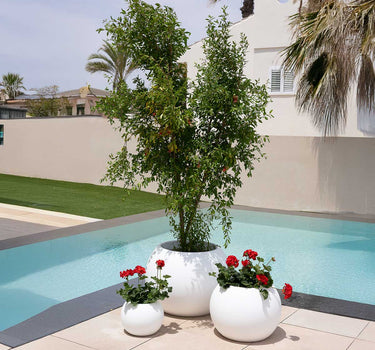 Ronde bloempot DALIA 50