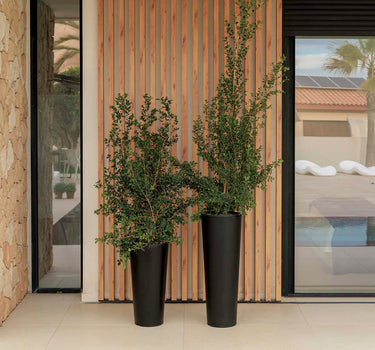 Ronde plantenbak FICUS 60