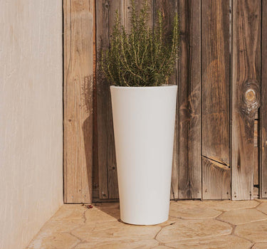 Ronde plantenbak FICUS 60