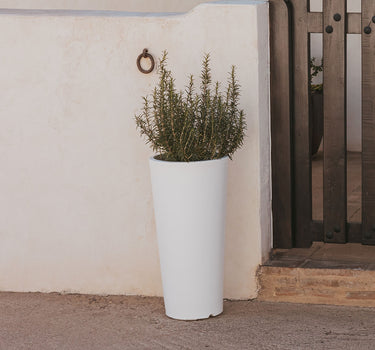 Ronde plantenbak FICUS 60