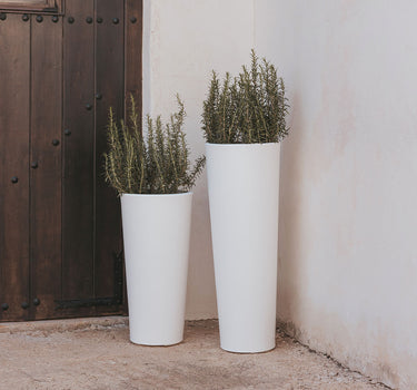 Ronde plantenbak FICUS 60