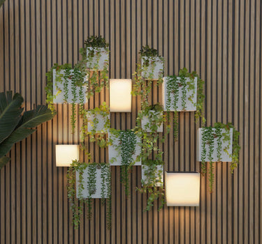 Pakket Solar Wandlampen WALLY + Verticale Bloempotten | Duurzame Verlichting en Verticale Tuin