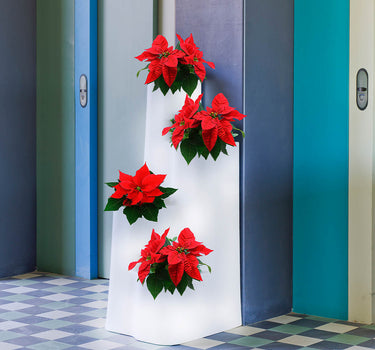 Hoge plantenbak met lichte IVY
