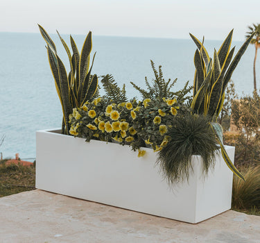 RECHTHOEKIGE BLOEMPOT JARA 100x40