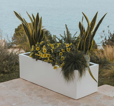 RECHTHOEKIGE BLOEMPOT JARA 100x40