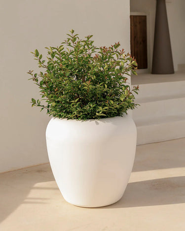 Macetero redondo ARECA - 11