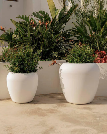 Macetero redondo ARECA - 15