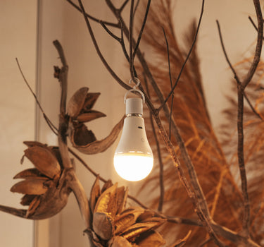 Pakket van 2 stuks - LAPERA oplaadbare draagbare lamp
