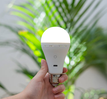 Pakket van 2 stuks - LAPERA oplaadbare draagbare lamp