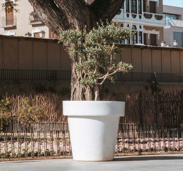 Gigantische plantenbak MAGNOLIA 160CM