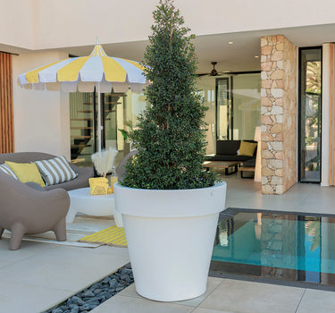 Grote bloempot MAGNOLIA 80CM