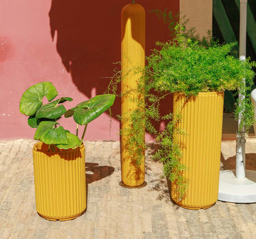 Ronde plantenbak Maranta 30 x 70