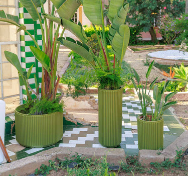 Ronde plantenbak Maranta 30 x 70