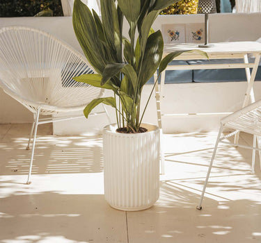 Ronde plantenbak Maranta 30 x 40