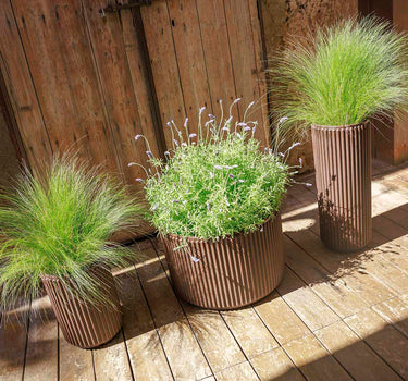 Ronde plantenbak Maranta 30 x 40