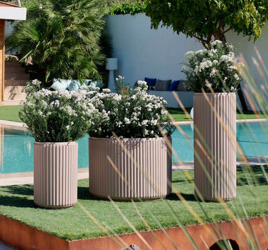 Ronde plantenbak Maranta 30 x 70