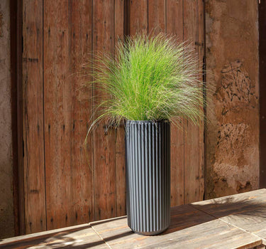 Ronde plantenbak Maranta 30 x 70