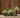 Ronde plantenbak Maranta 30 x 70