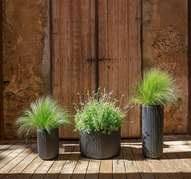 Ronde plantenbak Maranta 30 x 40
