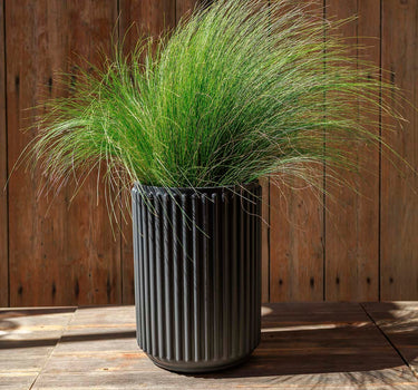 Ronde plantenbak Maranta 30 x 40