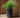 Ronde plantenbak Maranta 30 x 70