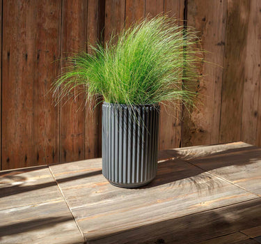 Ronde plantenbak Maranta 30 x 70